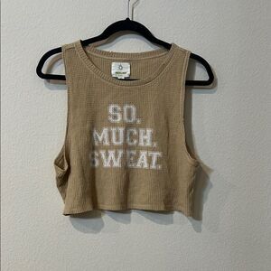 Aerie Beige Crop Top